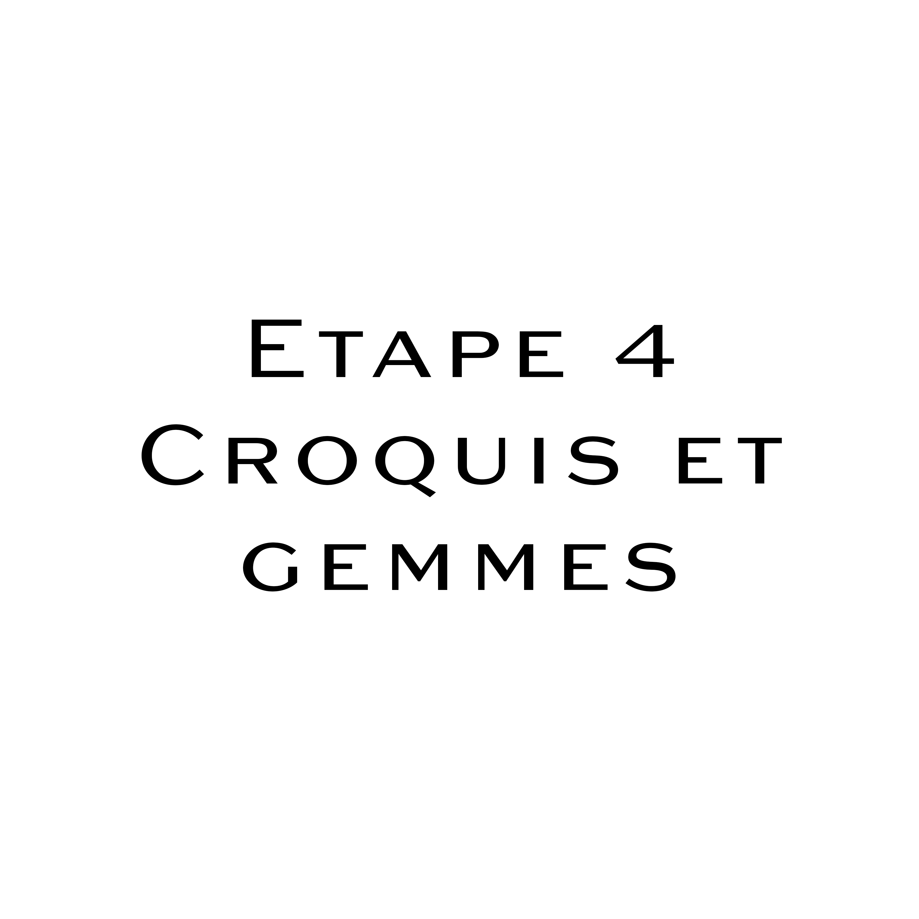 Artisanat: Ajustements stylistiques, application concrète aux pierres de la "short list". Gemmes: Présentation de la "short list" et choix de la pierre.